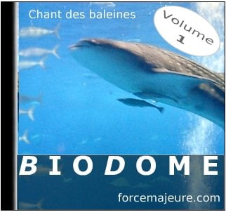 chant des baleines