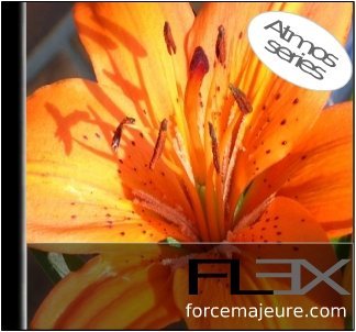 Flex_Series1: Gentle Wind
