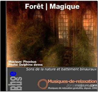 sons de la nature en mp3 avec chant des oiseaux