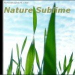 Nature Sublime