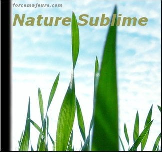 Nature Sublime