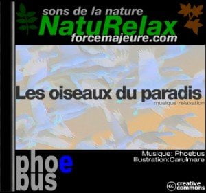 chant d'oiseaux mp3