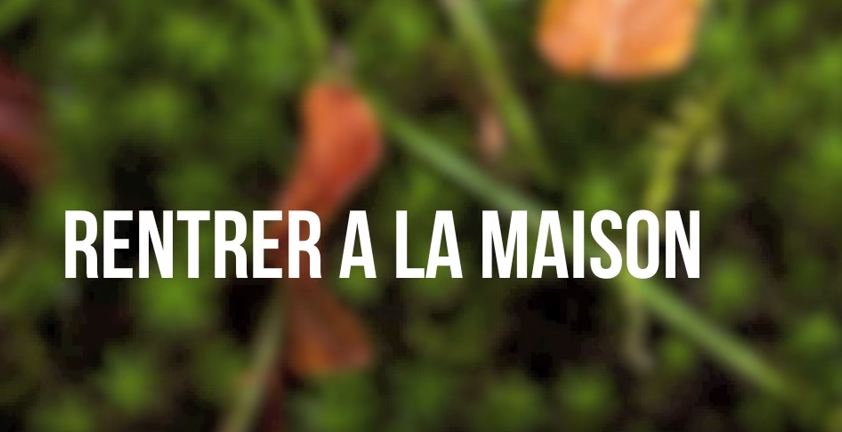 Vidéo de visualisation guidée rentrer a la maison