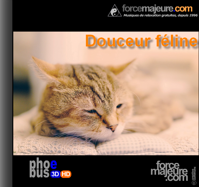 douceur féline musique relaxante 