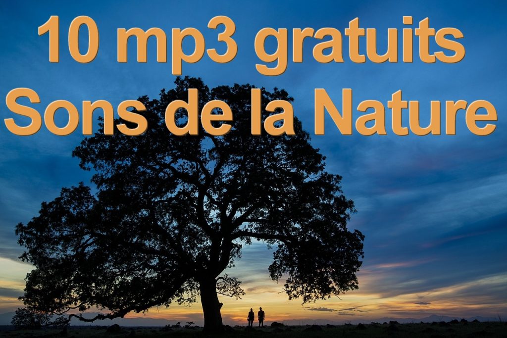 10-mp3-gratuits-sons-de-la-nature