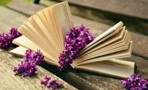 livre-d-or