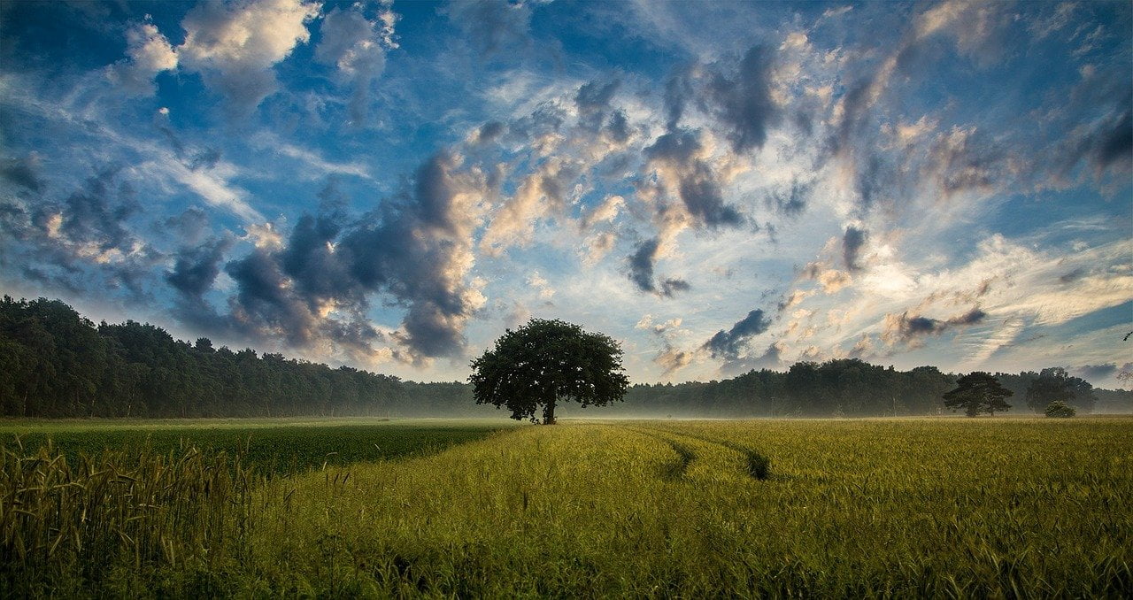 nuages relaxation mp3 gratuit