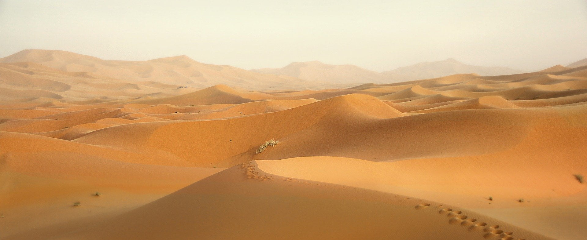 illustration album Dune