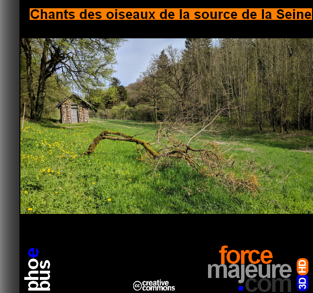Chants des oiseaux de la source de la Seine forcemajeure