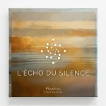 Pochette du morceau L'Écho du Silence par Phoebus sur le label Force Majeure — Peinture abstraite aux tons dorés et gris.