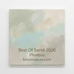 Pochette de l'album Best Of Santé 2026 par Phoebus sur le label ForceMajeure, peinture zen et épurée illustrant la sonothérapie et le soin.